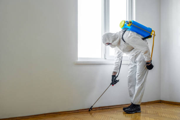 Best Wildlife Control Services  in Slater, MO