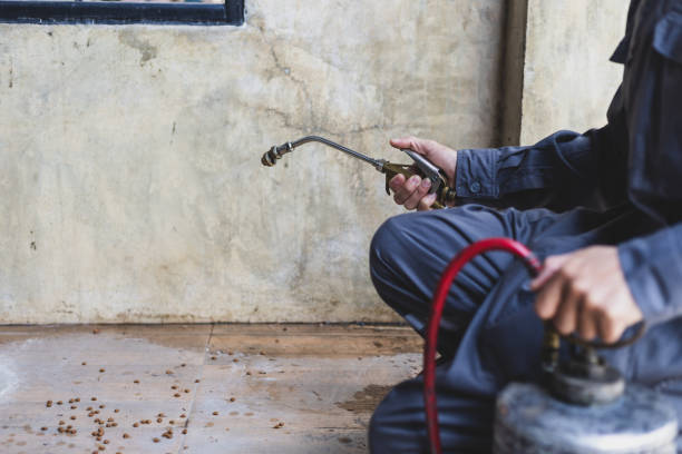 Best Affordable Exterminators  in Slater, MO